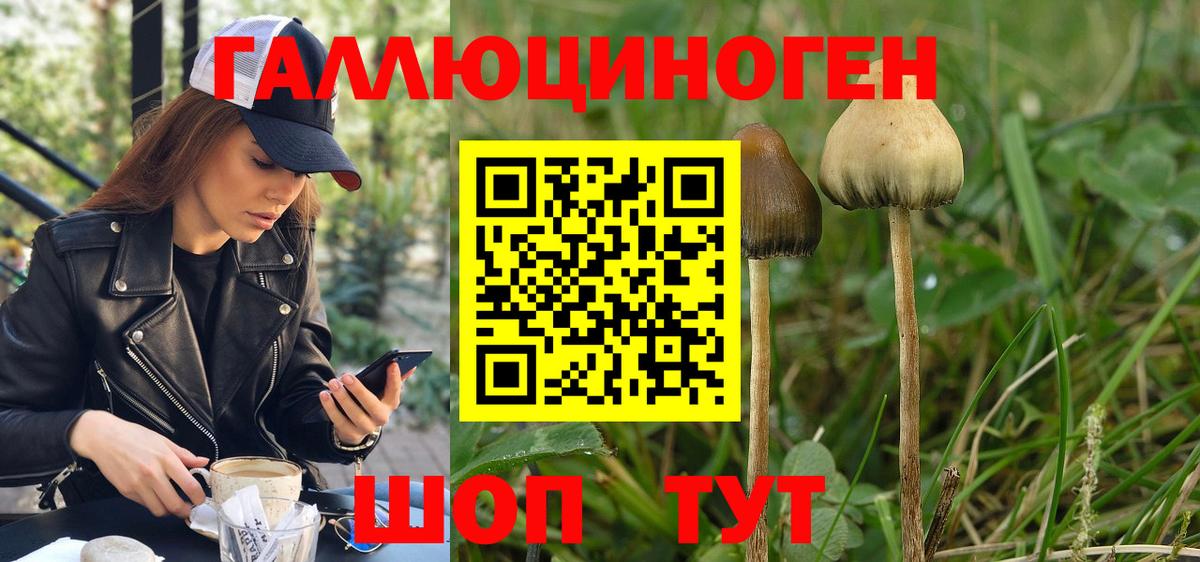 Галлюциногенные грибы ЛСД  Вход с VPN  Киров 