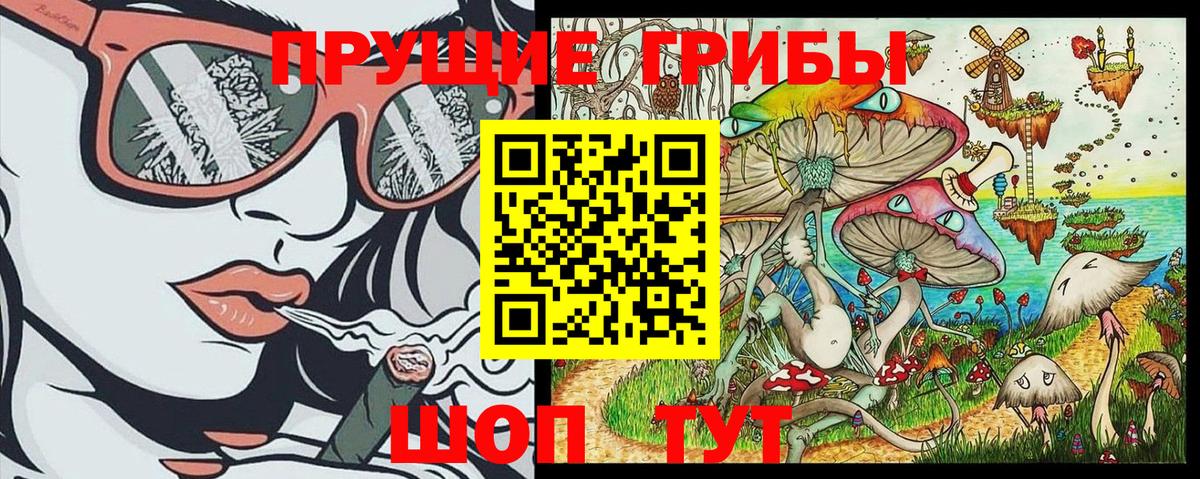 Псилоцибиновые грибы GOLDEN TEACHER Киров