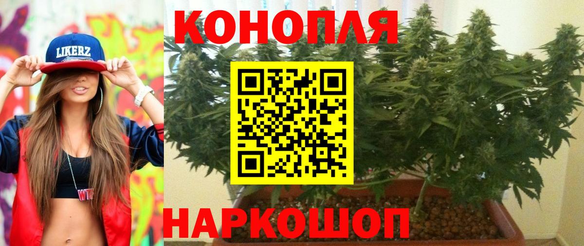 Бошки Шишки THC 21% Киров